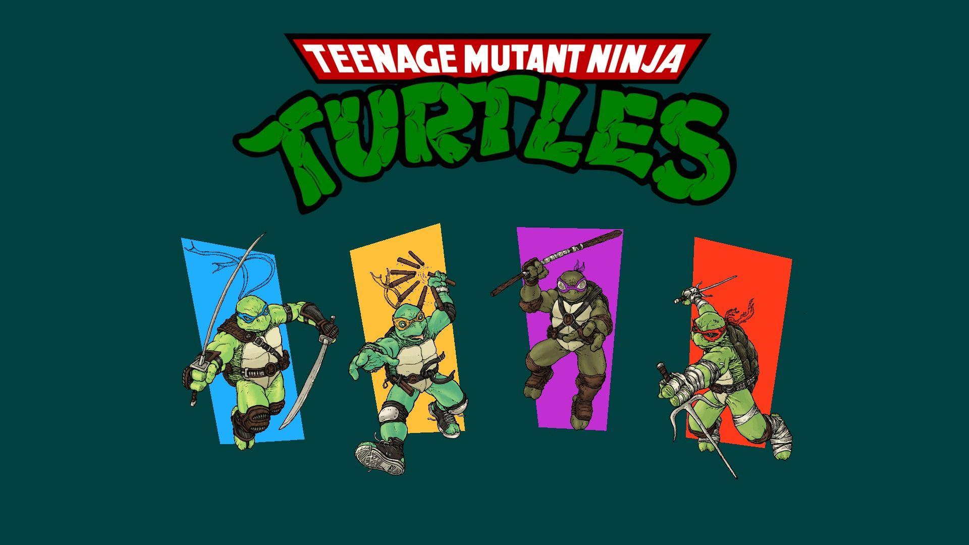 Cute Ninja Turtles Wallpapers Top Free Cute Ninja Turtles Backgrounds