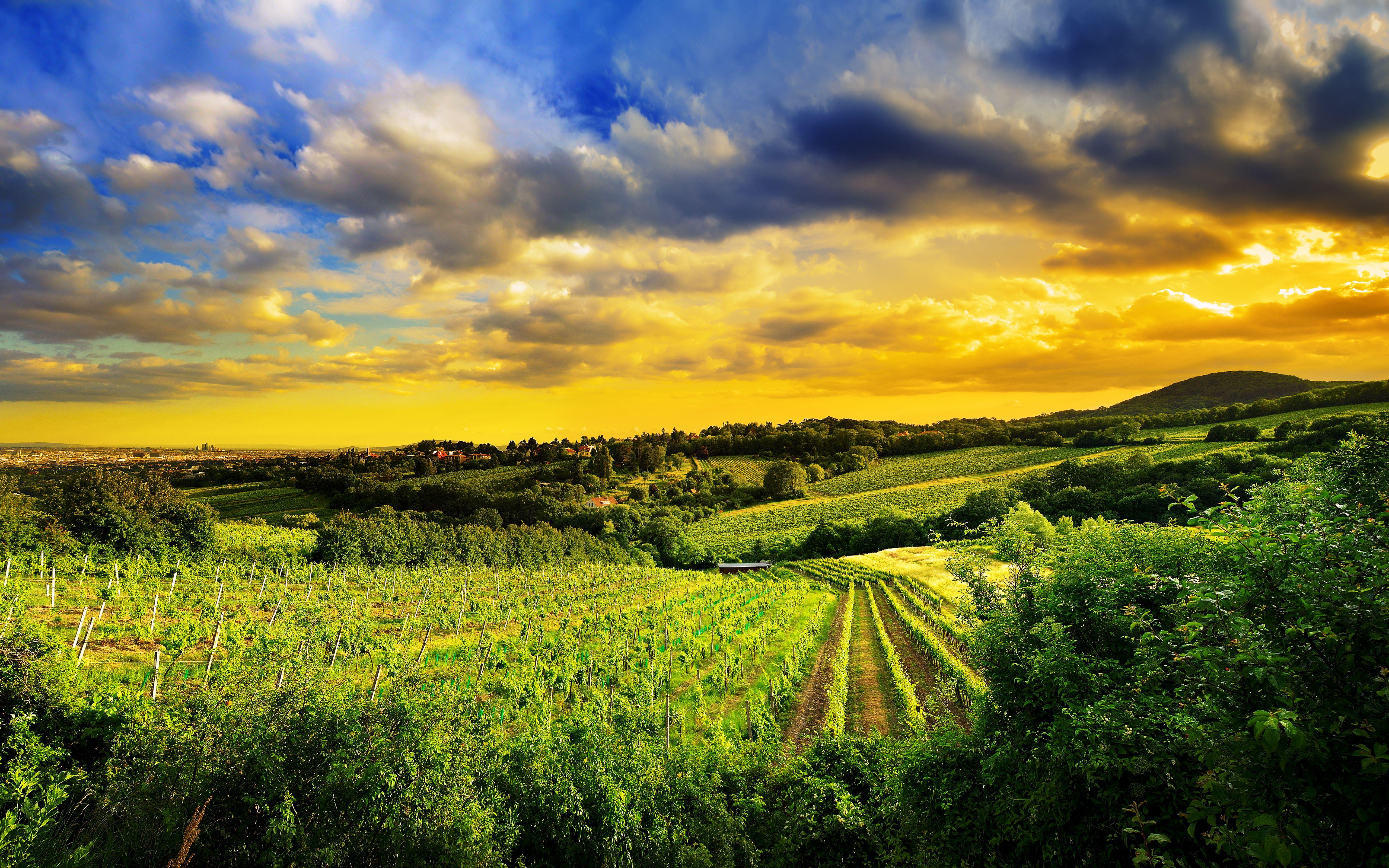 5K Resolution Wallpapers Top Free 5K Resolution Backgrounds