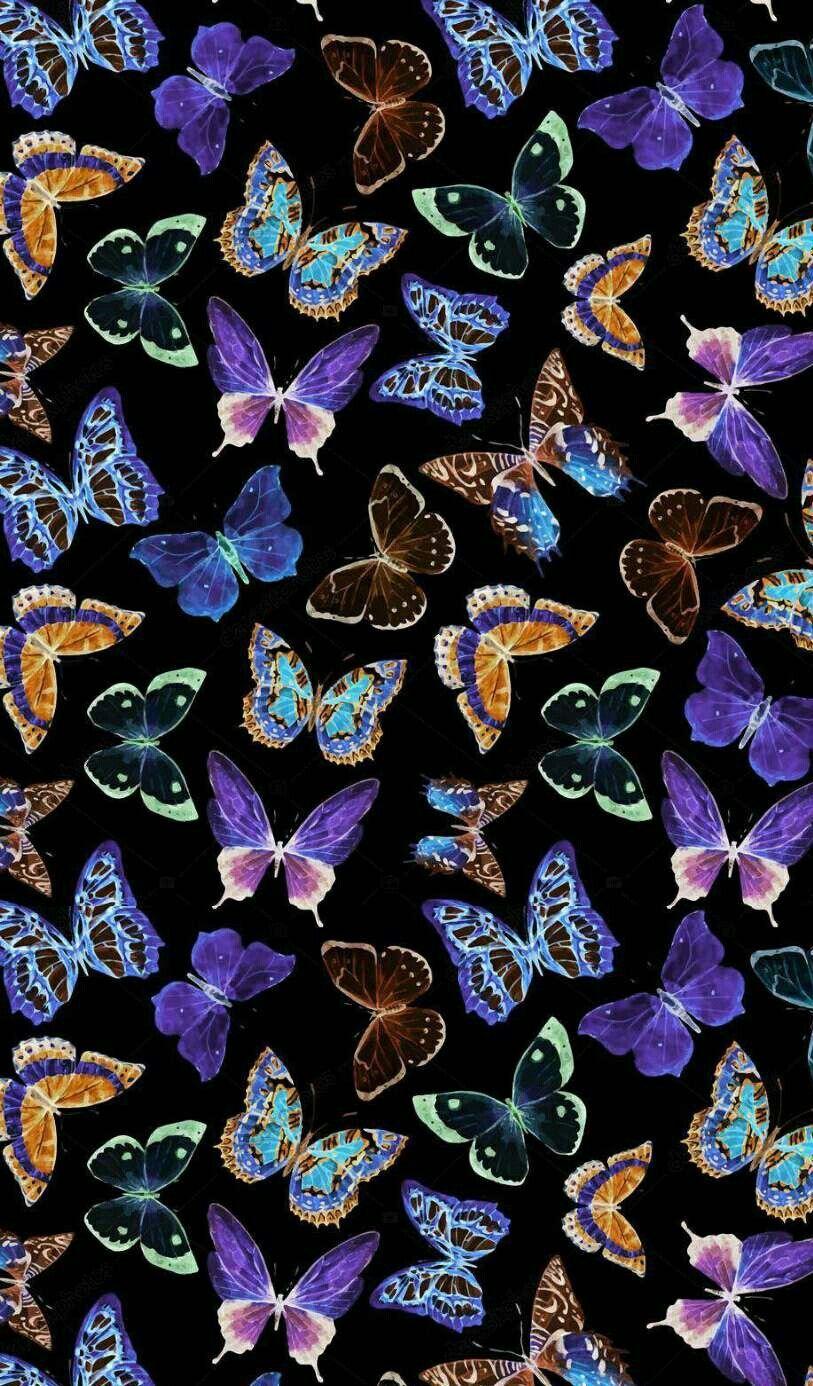 Aesthetic Butterfly Wallpapers Top Free Aesthetic Butterfly