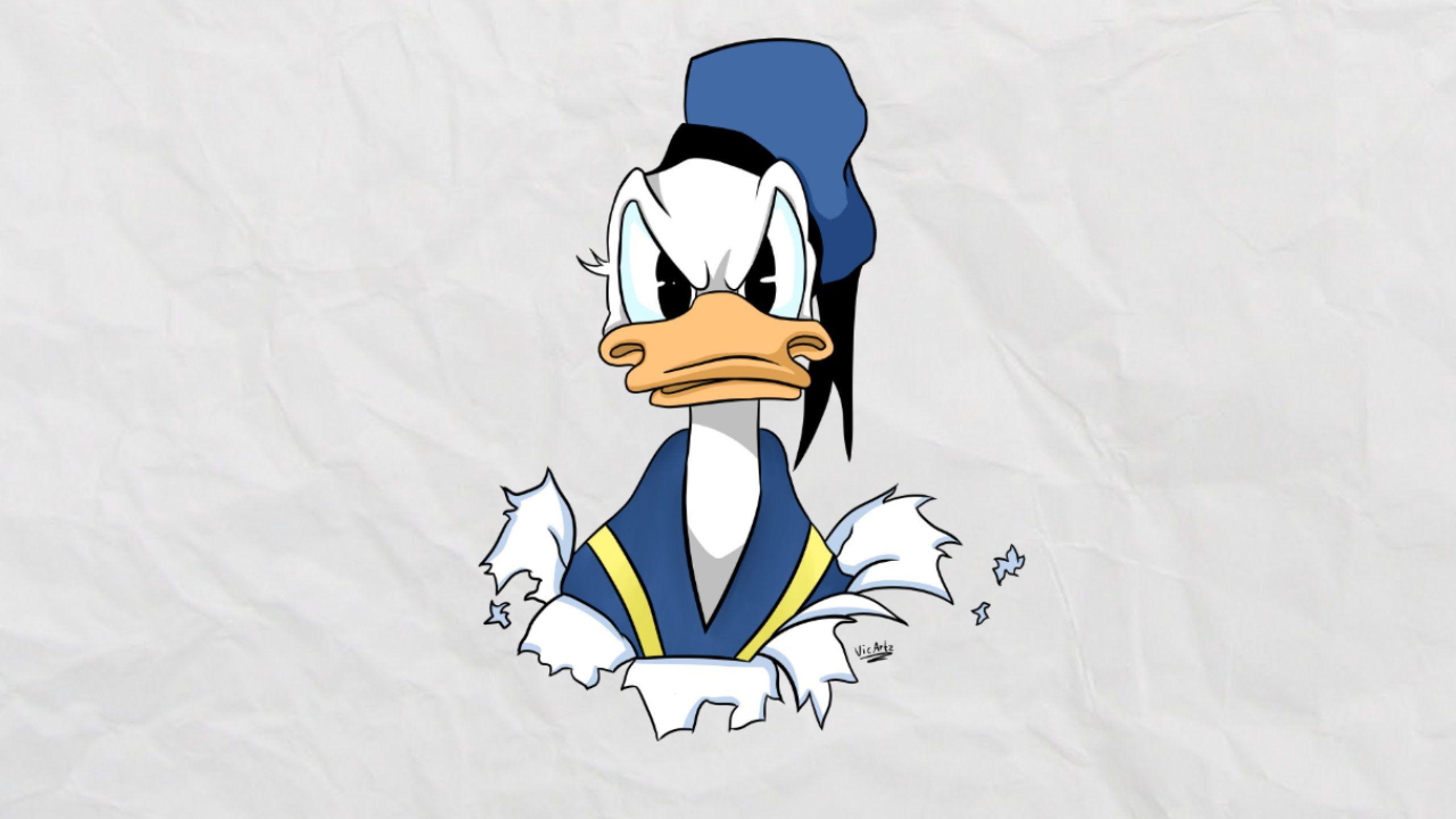 Donald Duck Wallpapers Top Free Donald Duck Backgrounds WallpaperAccess