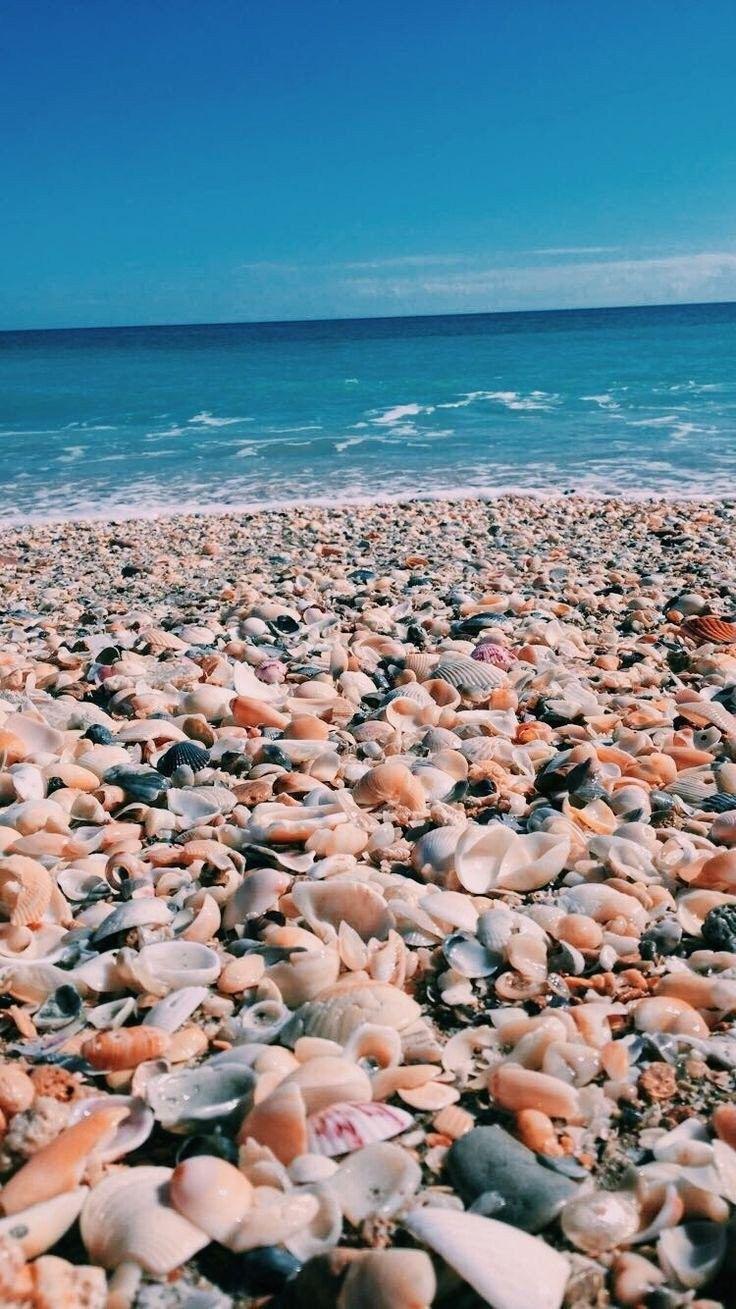 Beach VSCO Wallpapers Top Free Beach VSCO Backgrounds WallpaperAccess