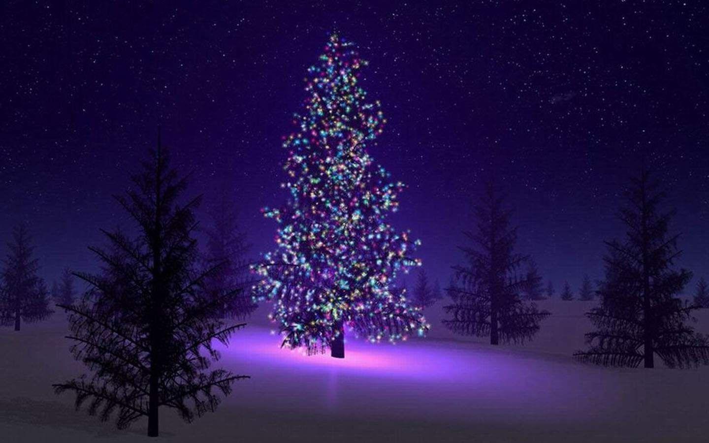 Purple Christmas Tree Wallpapers Top Free Purple Christmas Tree Backgrounds WallpaperAccess