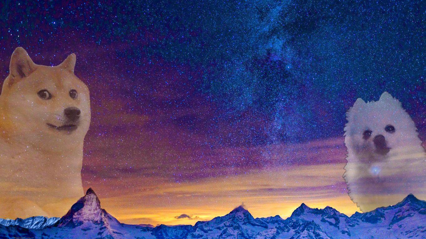 Doge Wallpapers Top Free Doge Backgrounds WallpaperAccess