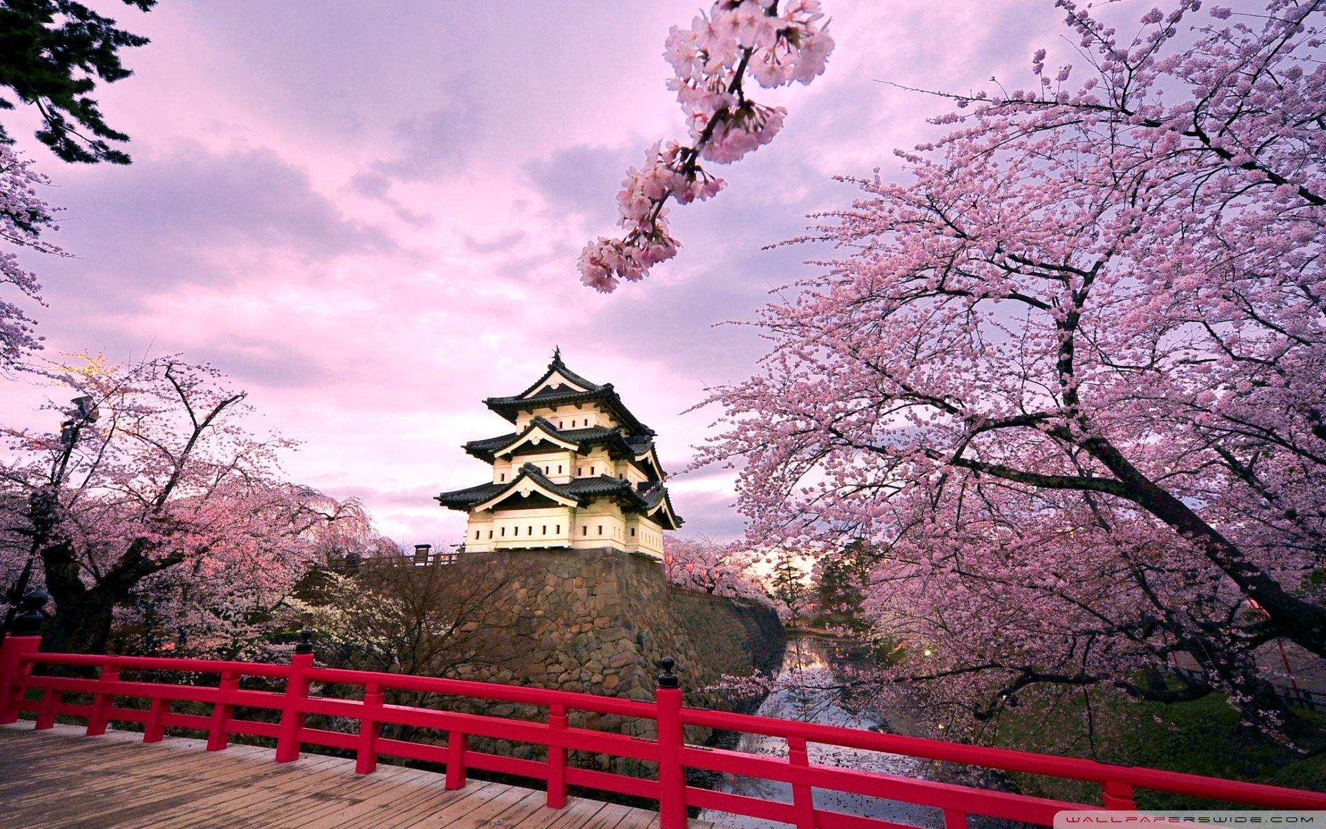 Beautiful Korea Wallpapers Top Free Beautiful Korea Backgrounds
