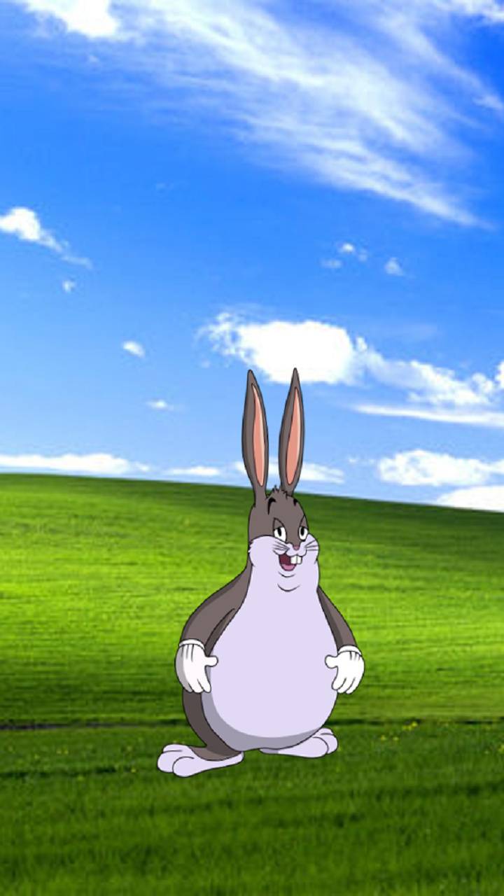 Big Chungus Wallpapers Top Free Big Chungus Backgrounds WallpaperAccess