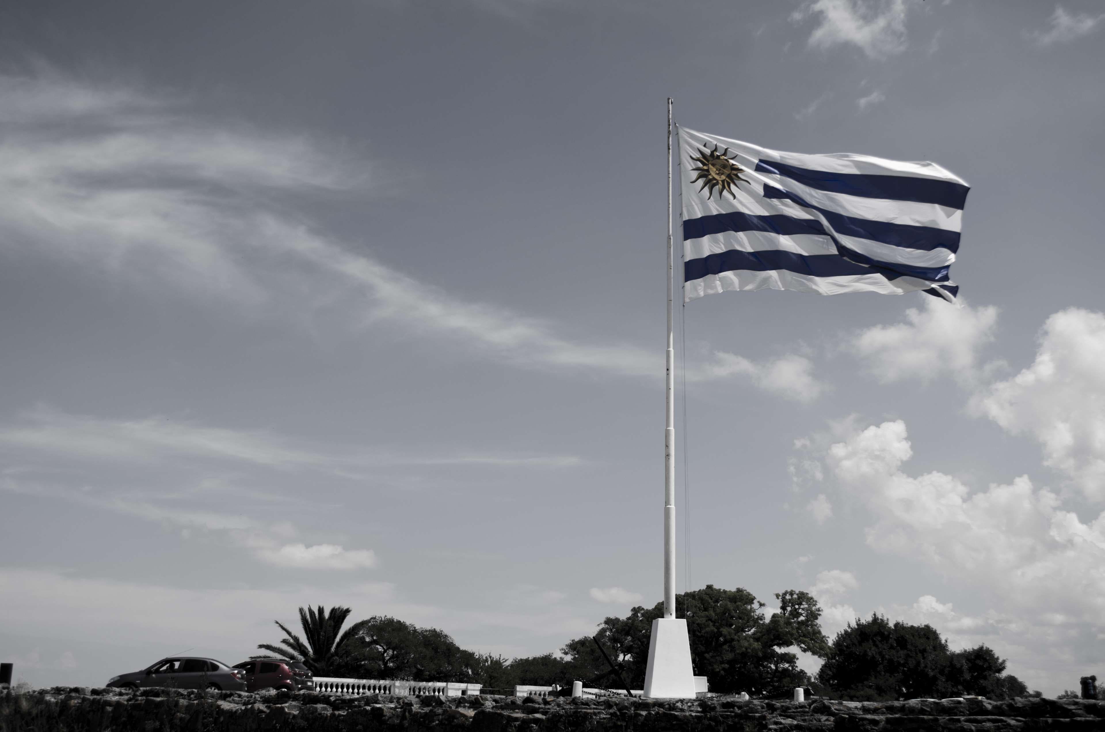 Uruguay Flag Wallpapers Top Free Uruguay Flag Backgrounds