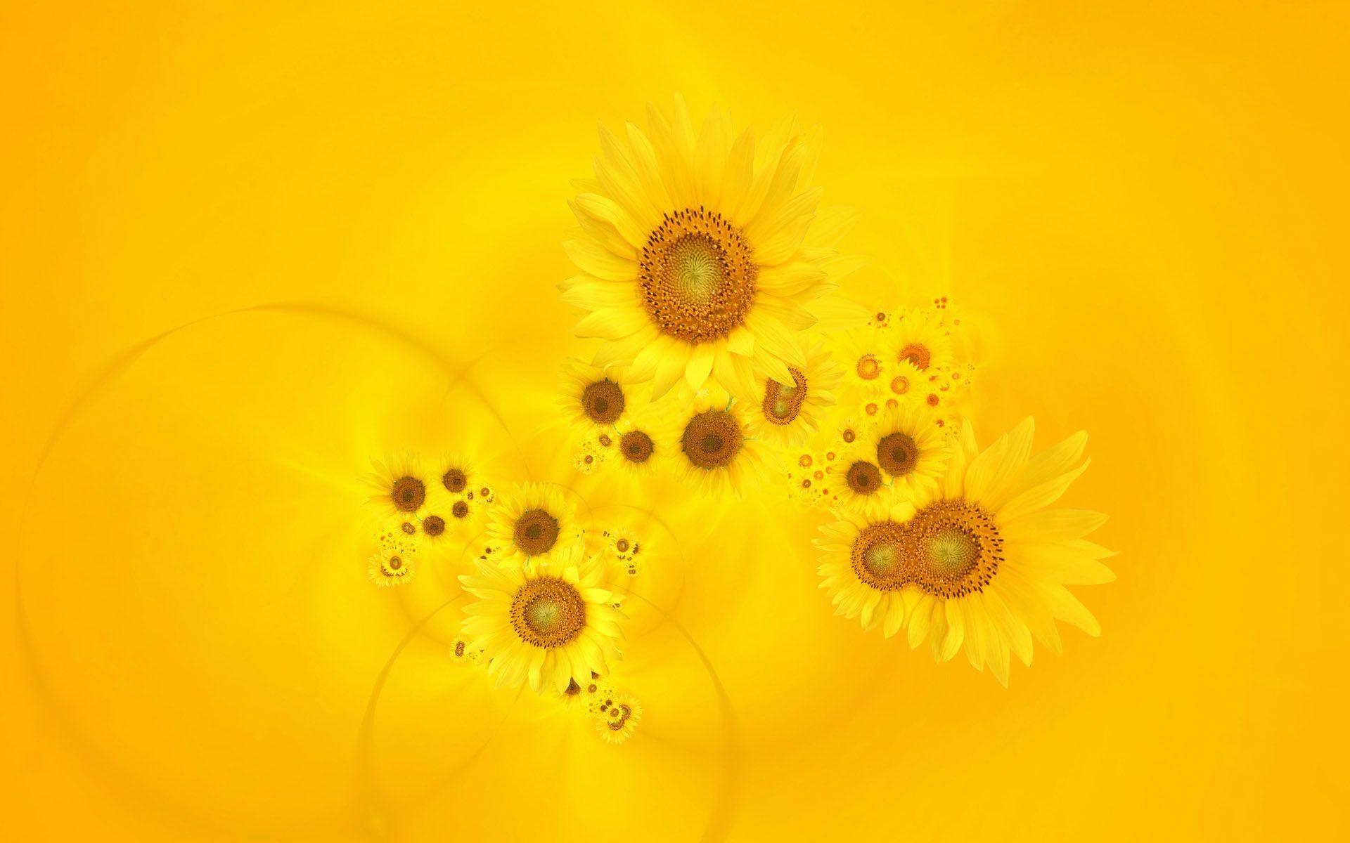 Yellow HD Wallpapers Top Free Yellow HD Backgrounds WallpaperAccess