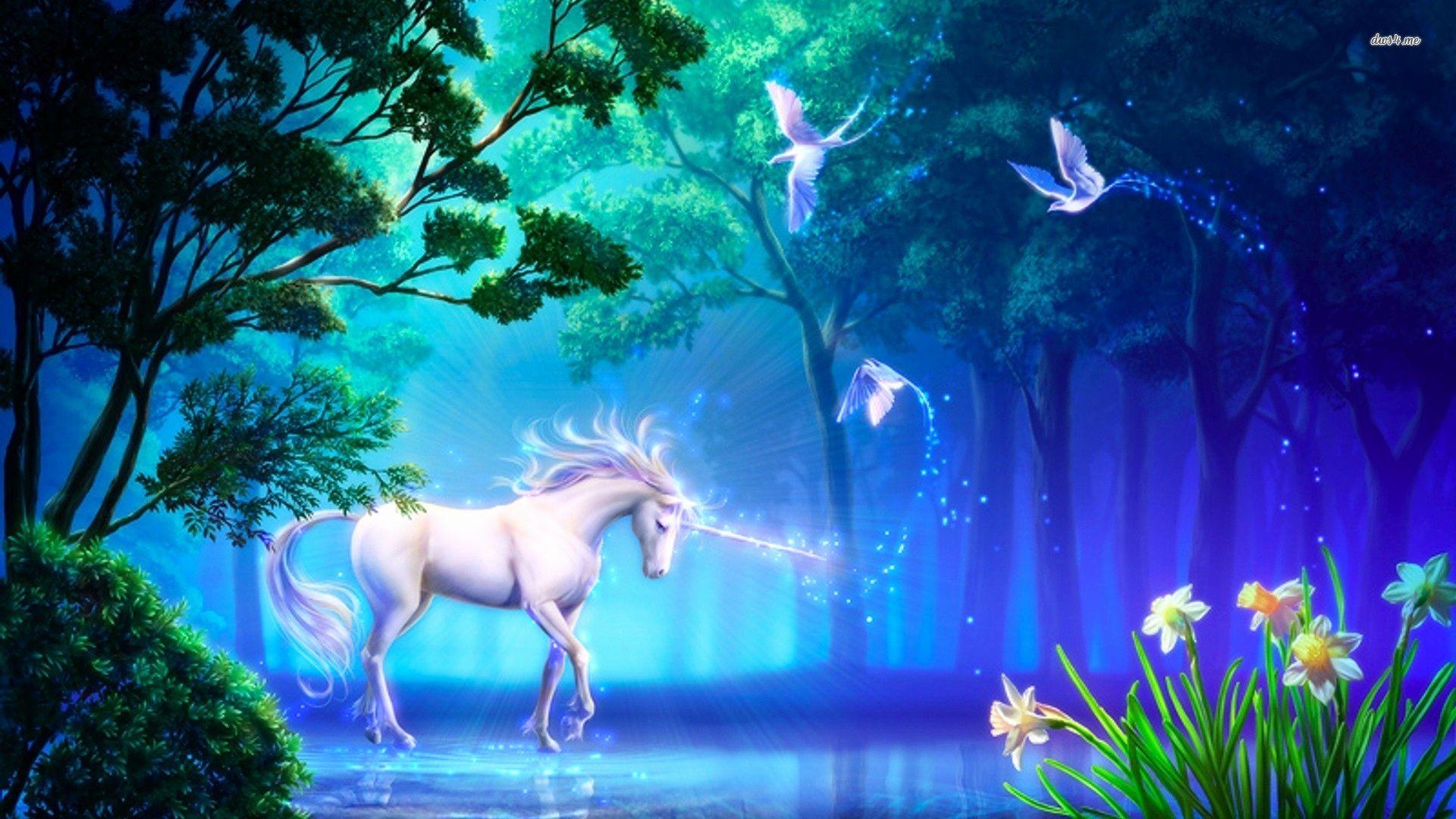 Animated Unicorn Wallpapers Top Free Animated Unicorn Backgrounds