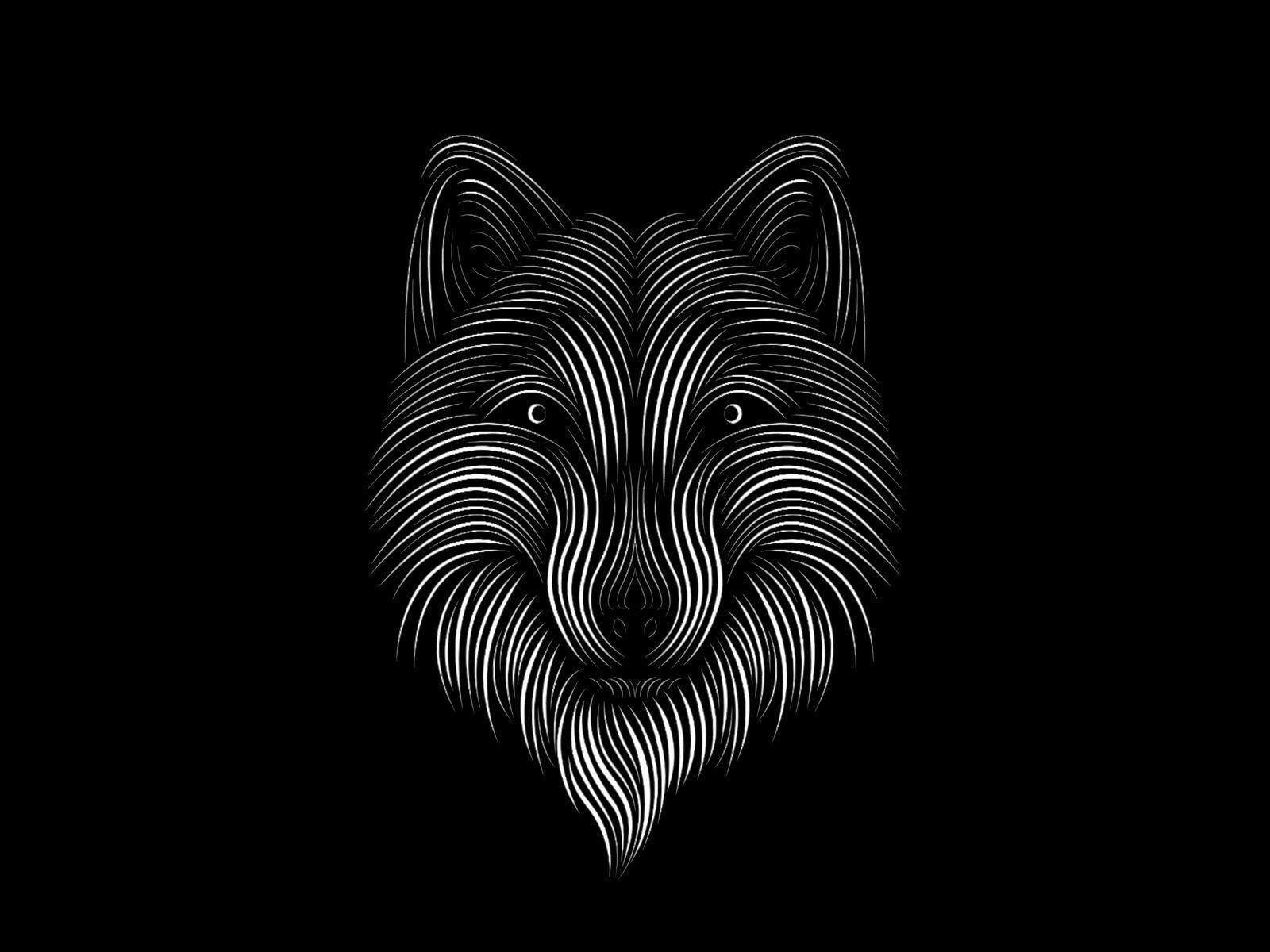 Line Art Wallpapers Top Free Line Art Backgrounds WallpaperAccess