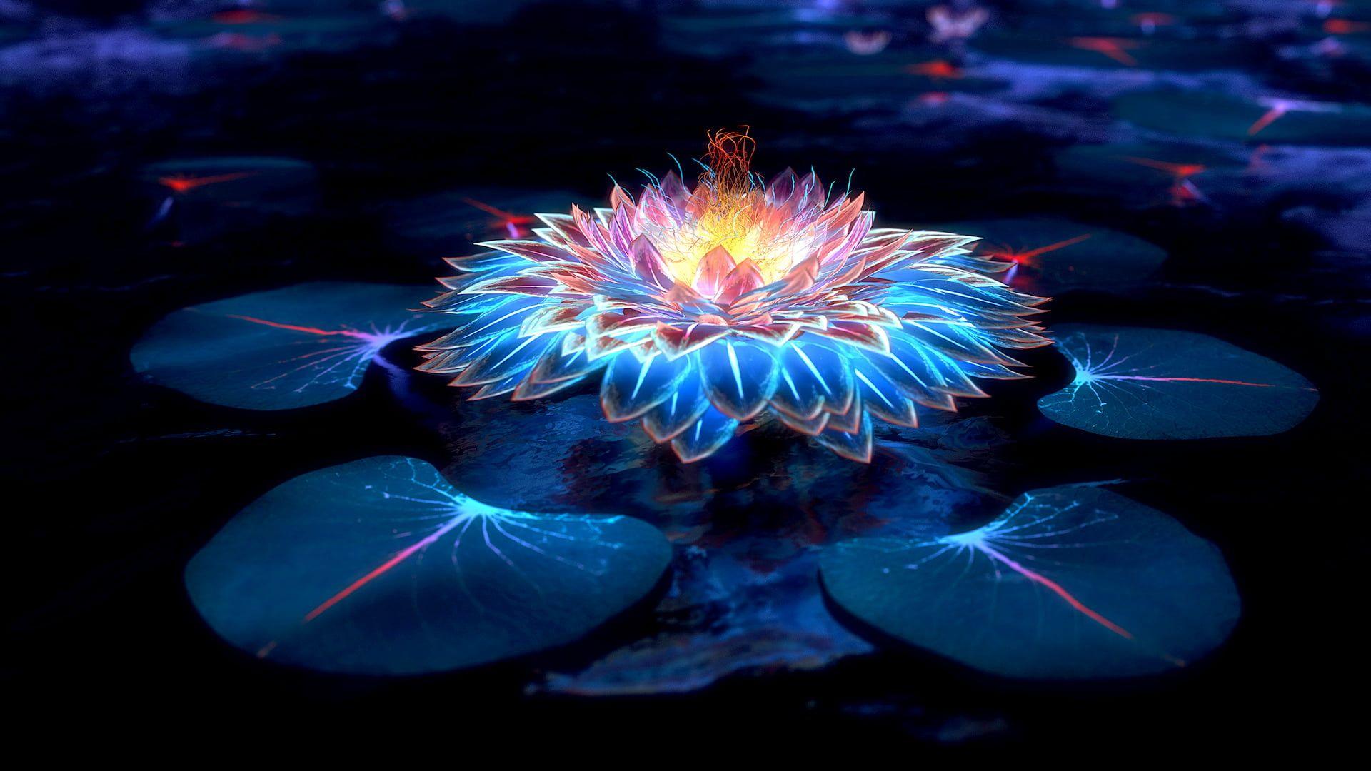 Small Blue Lotus Flower Wallpapers Top Free Small Blue Lotus Flower