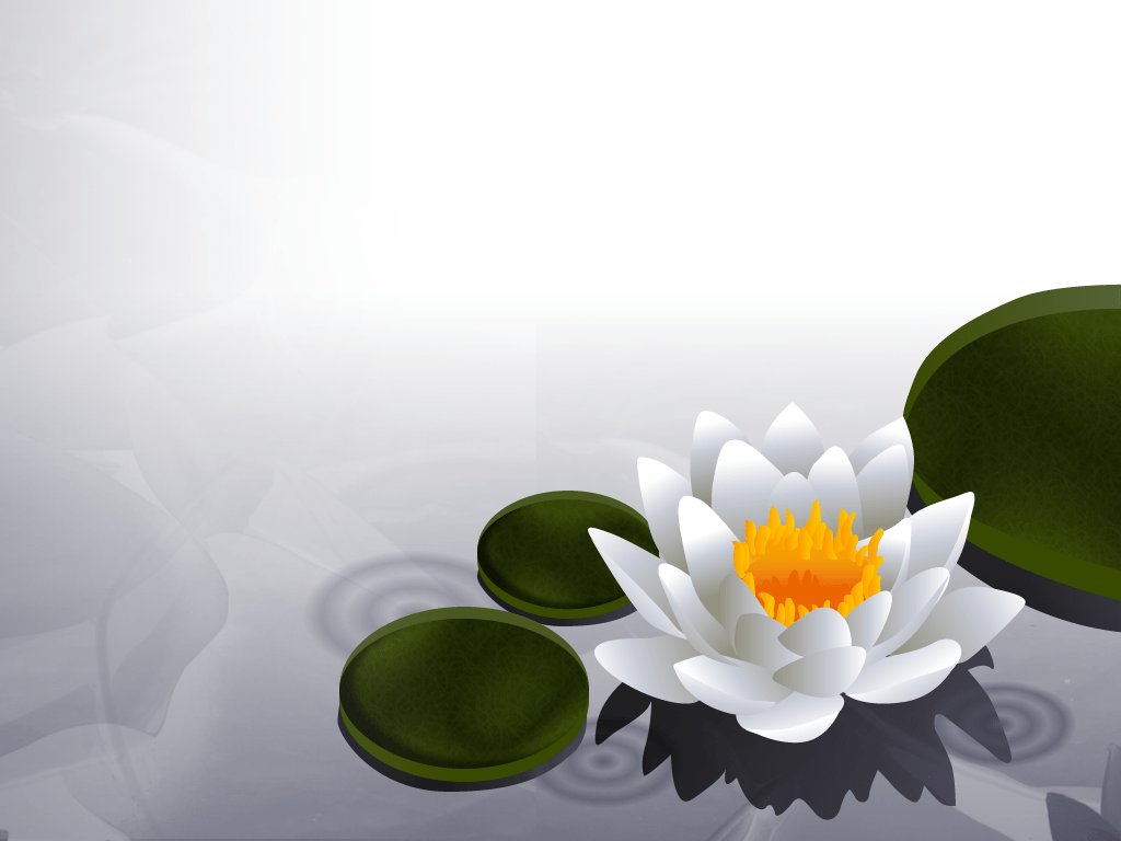 Zen Lotus HD Wallpapers Top Free Zen Lotus HD Backgrounds WallpaperAccess