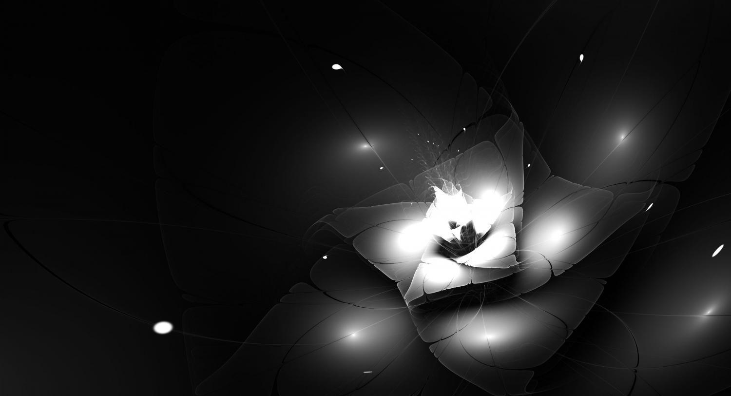 Black Lotus Wallpapers Top Free Black Lotus Backgrounds WallpaperAccess