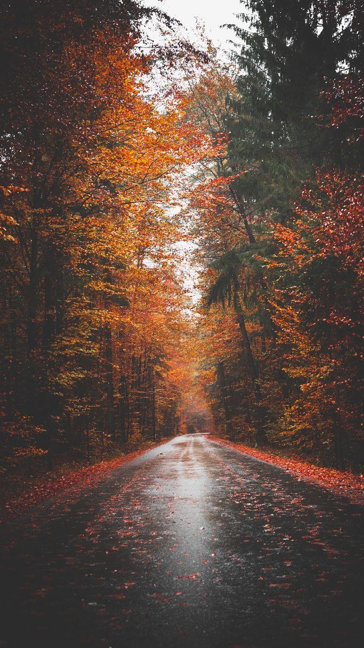 Cute Fall Backgrounds Tumblr