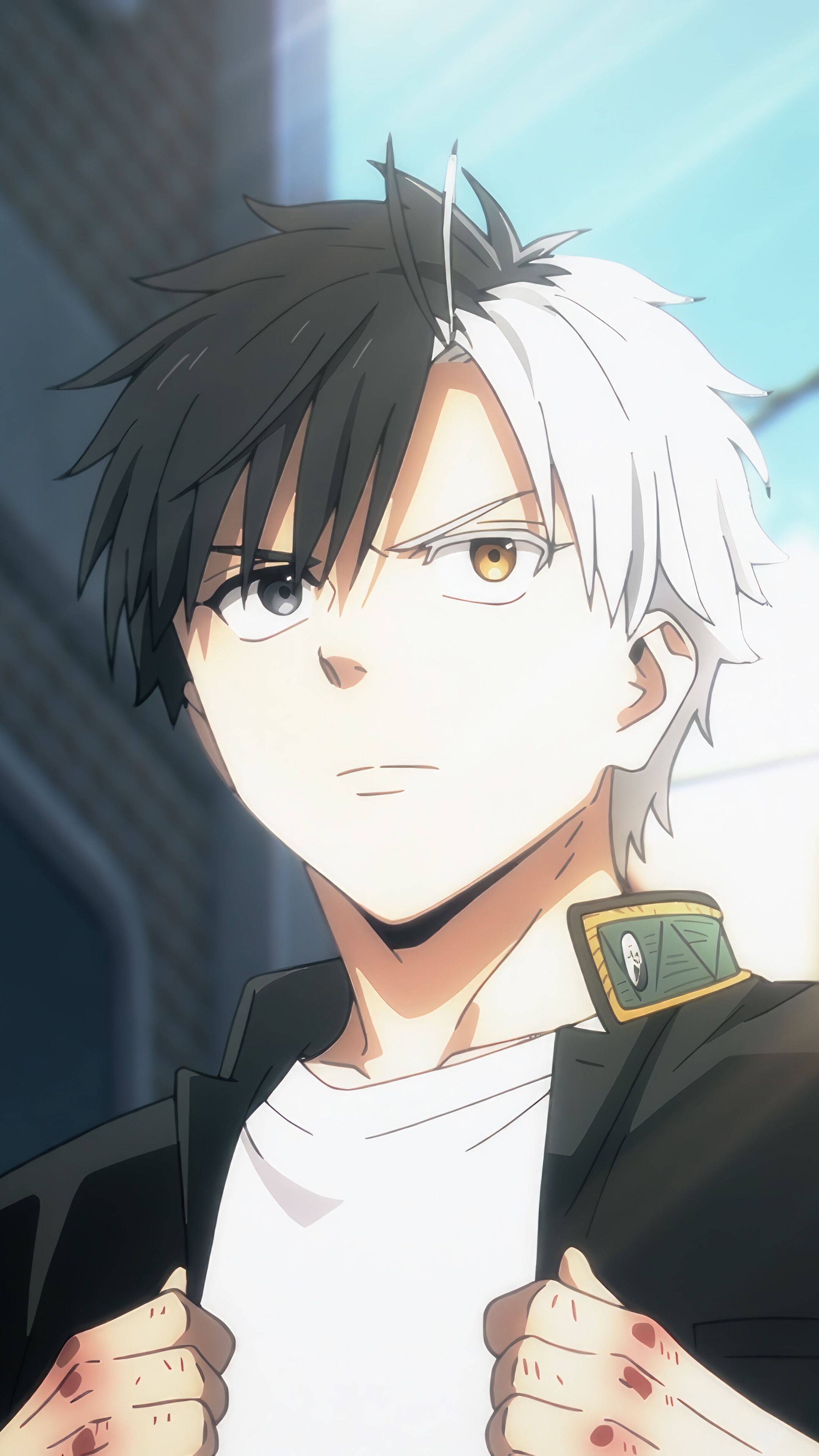 Haruka Sakura Wallpapers - Top Free Haruka Sakura Backgrounds - WallpaperAccess