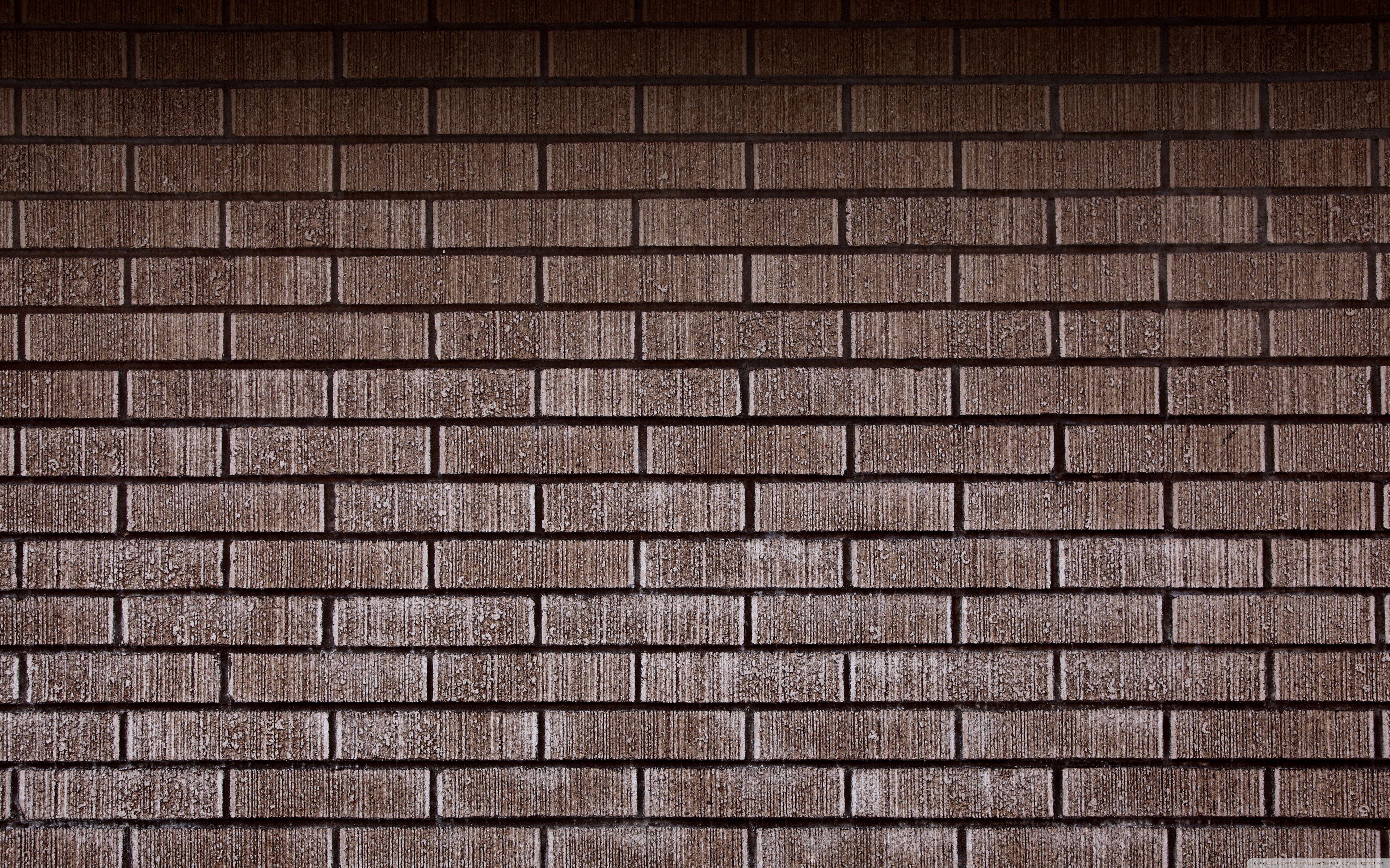 Brick Wall Wallpapers Top Free Brick Wall Backgrounds WallpaperAccess