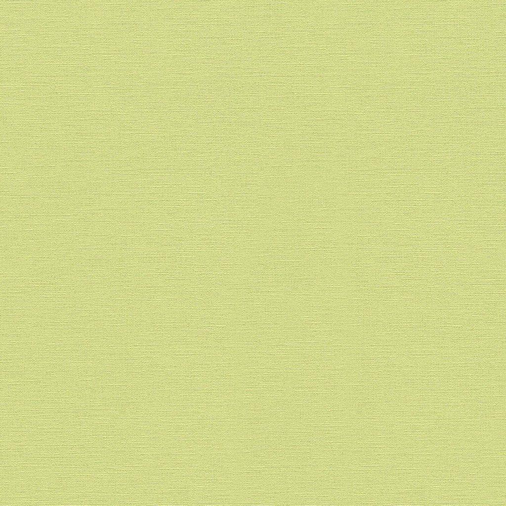 Plain Green Wallpapers Top Free Plain Green Backgrounds WallpaperAccess