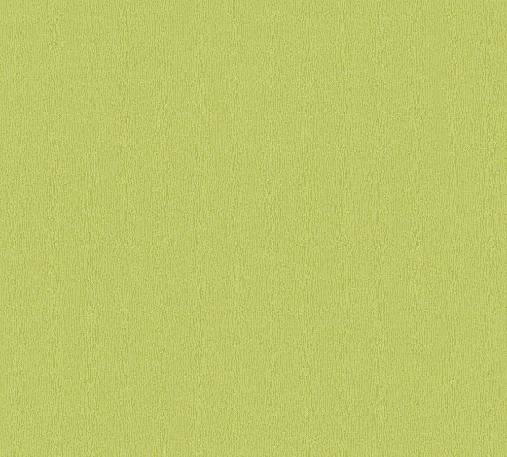 Plain Green Wallpapers Top Free Plain Green Backgrounds WallpaperAccess