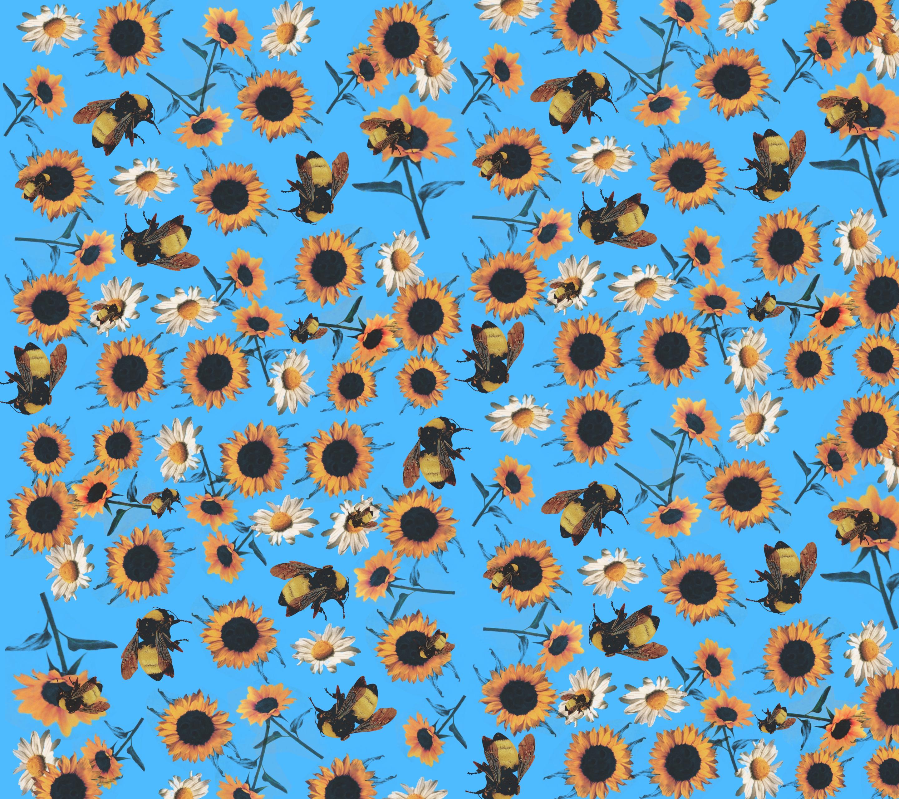 Flower Boy Tyler the Creator Wallpapers Top Free Flower Boy Tyler the