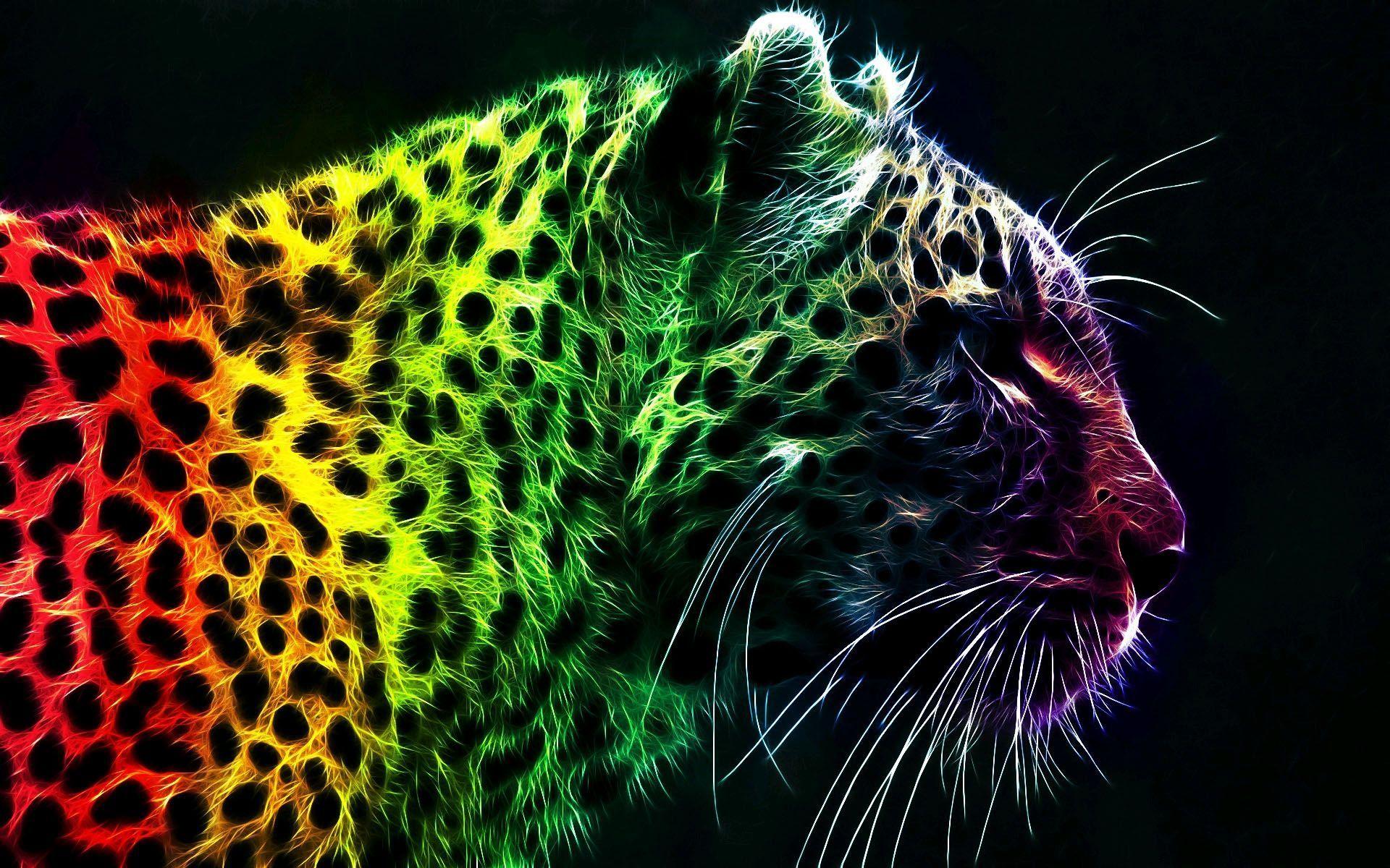 Exotic Animal Wallpapers Top Free Exotic Animal Backgrounds