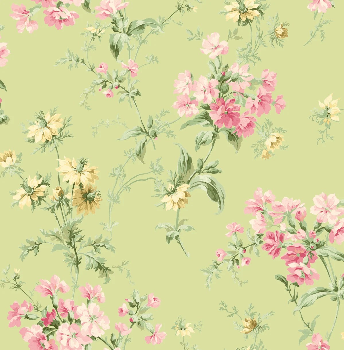 Spanish Flower Wallpapers Top Free Spanish Flower Backgrounds