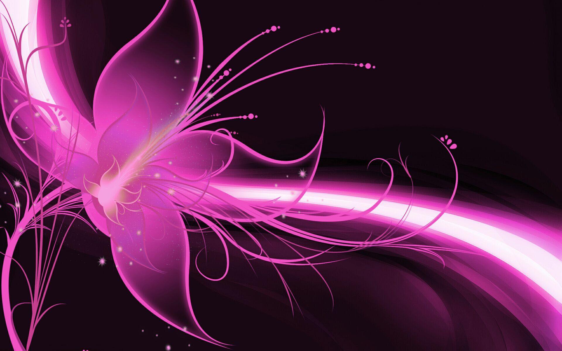 Black and Pink Butterfly Wallpapers Top Free Black and Pink Butterfly