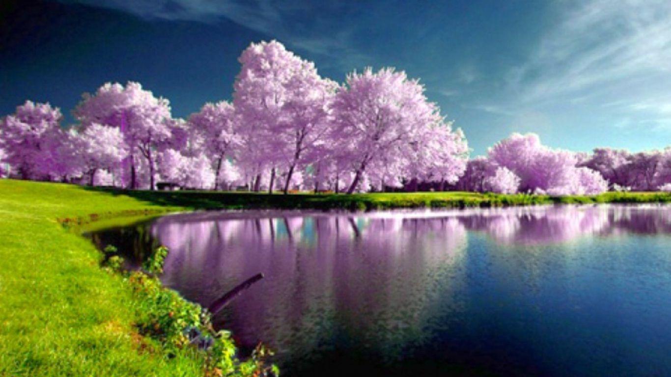 Spring Hd Desktop Wallpapers - Top Free Spring Hd Desktop Backgrounds -  Wallpaperaccess