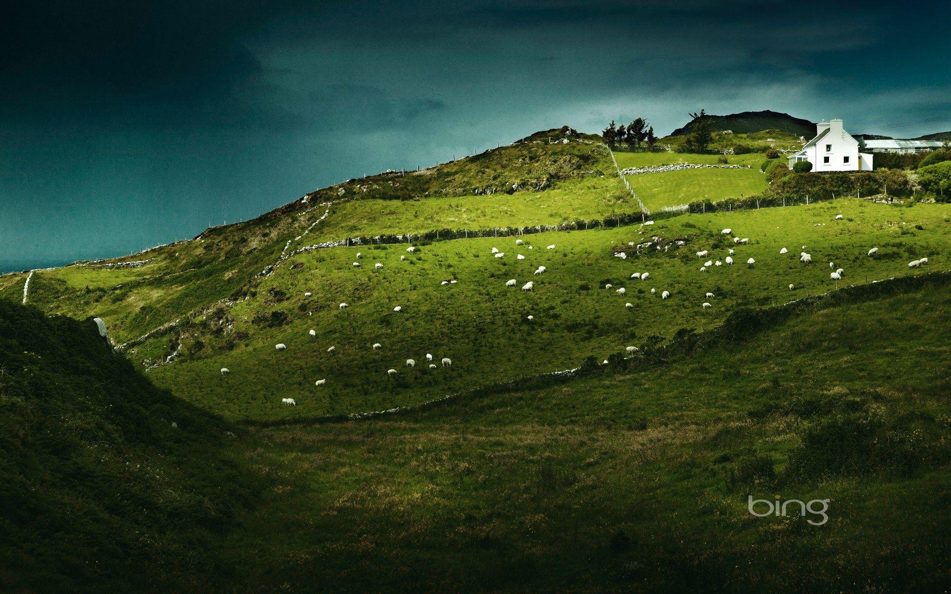 Ireland Landscape Desktop Wallpapers Top Free Ireland Landscape Desktop Backgrounds