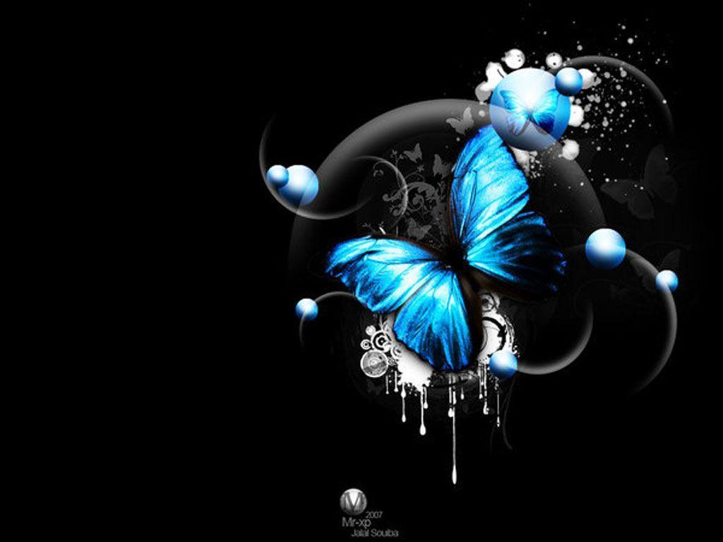 3D Butterfly Wallpapers Top Free 3D Butterfly Backgrounds