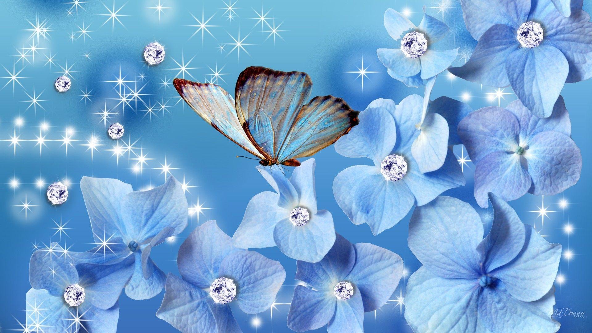 3D Butterfly Wallpapers Top Free 3D Butterfly Backgrounds