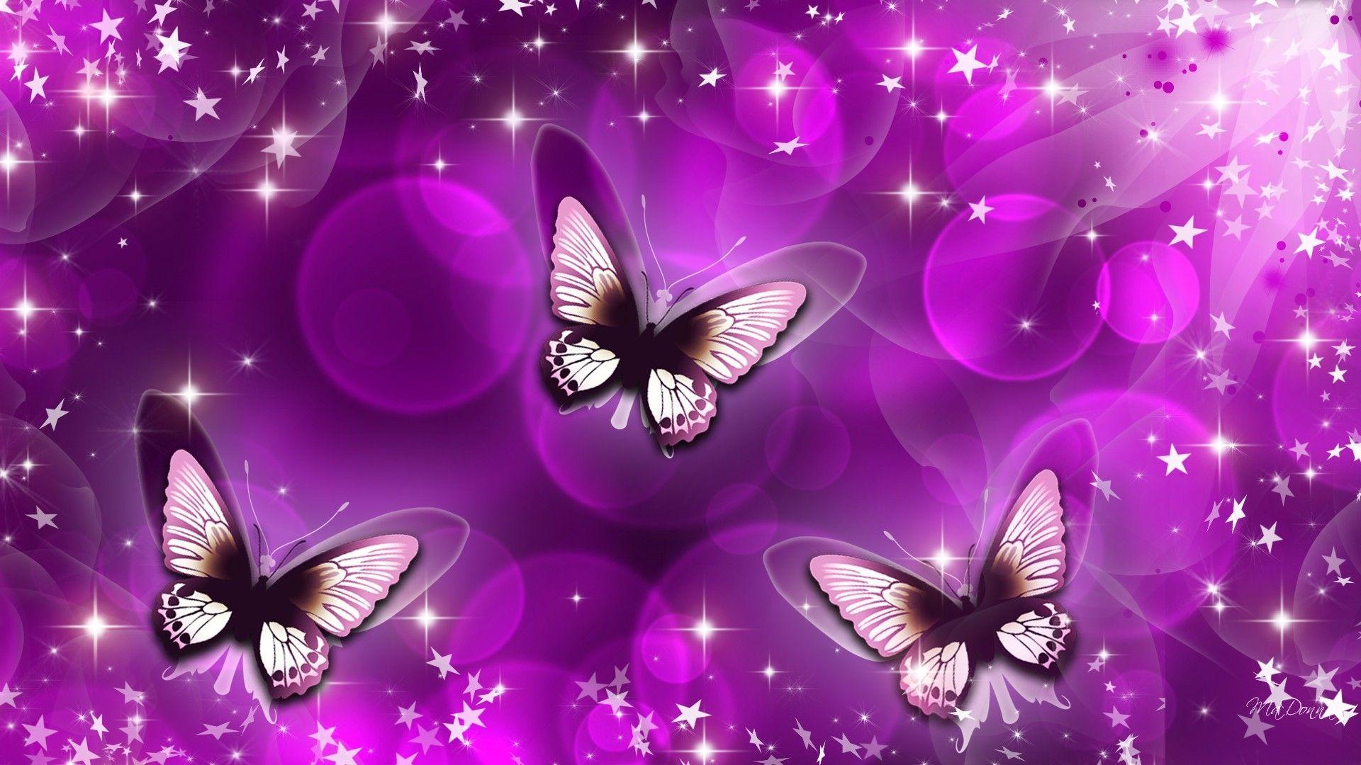 Neon Pink Butterfly Wallpapers Top Free Neon Pink Butterfly Backgrounds WallpaperAccess