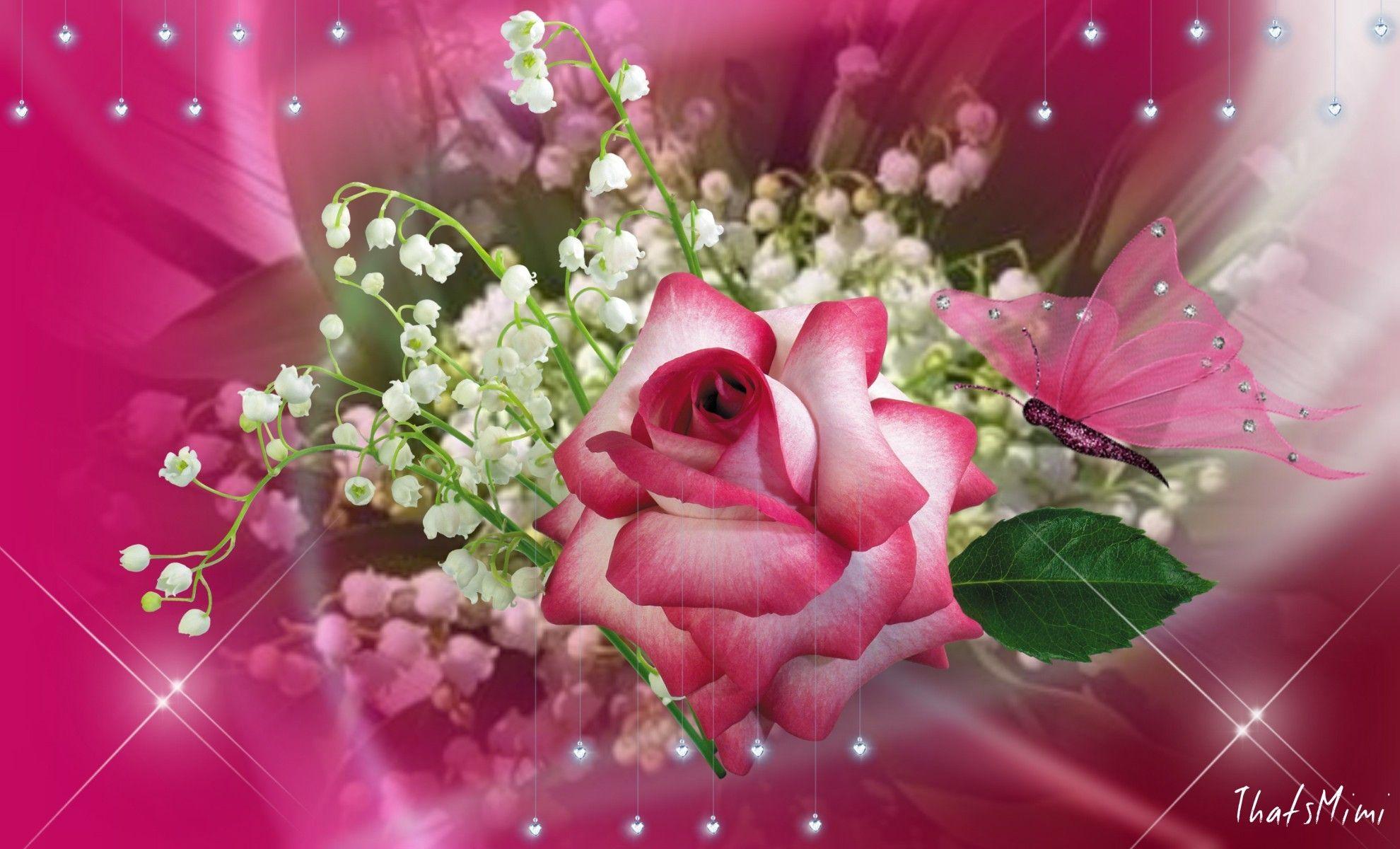Pink Roses and Butterfly Wallpapers Top Free Pink Roses and Butterfly
