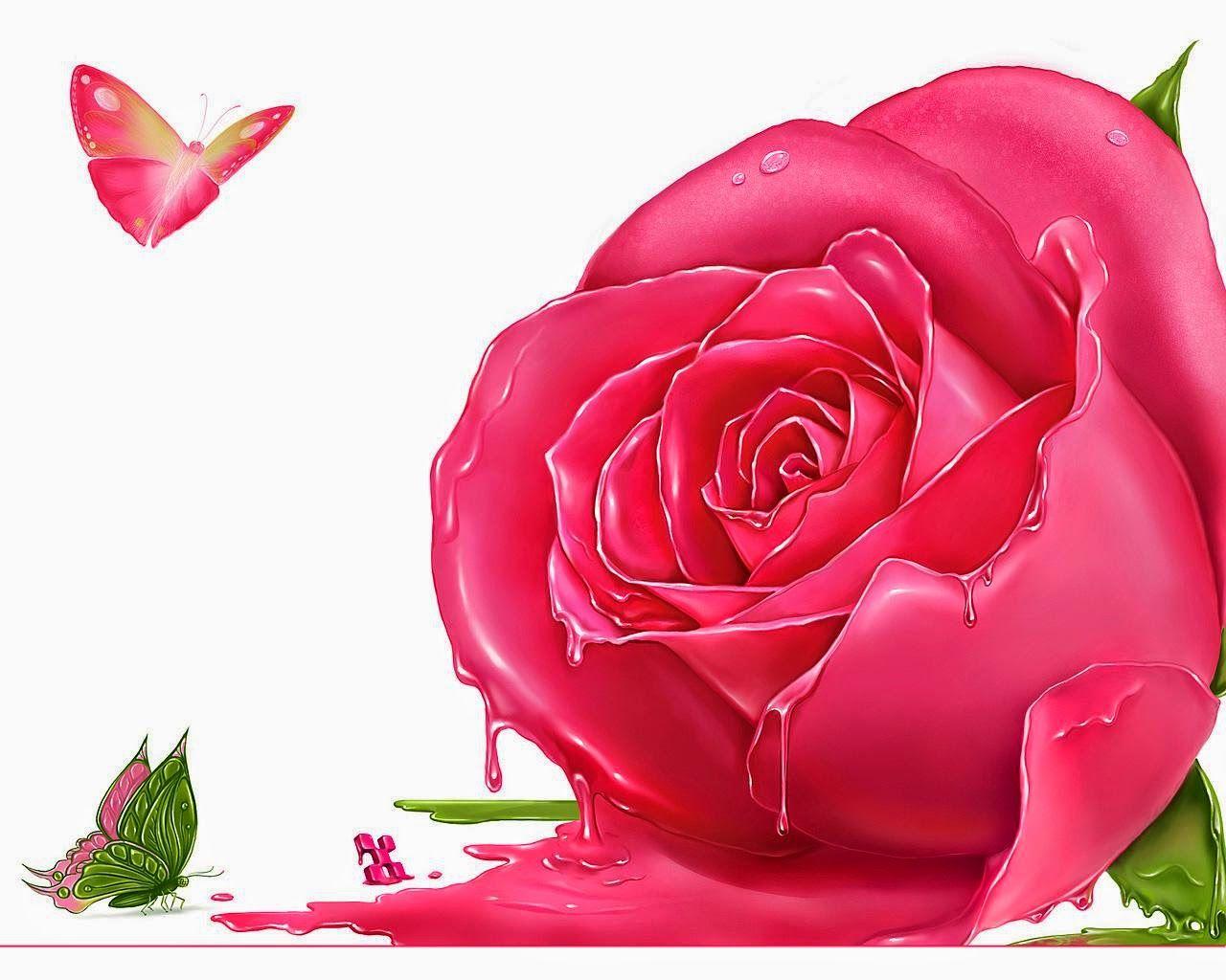 Natural Rose Flowers Wallpapers / Rose Flower Natural Pink Color Flower