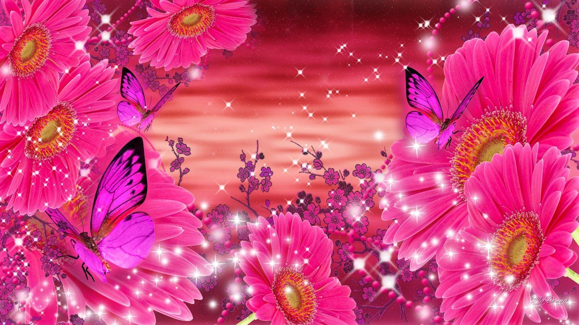 Pink Roses and Butterfly Wallpapers Top Free Pink Roses and Butterfly