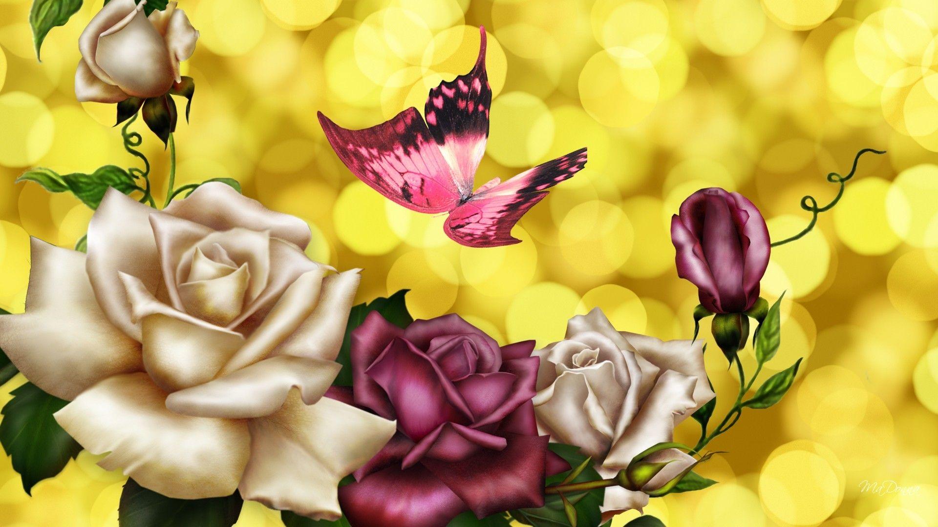 Pink Roses and Butterfly Wallpapers Top Free Pink Roses and Butterfly
