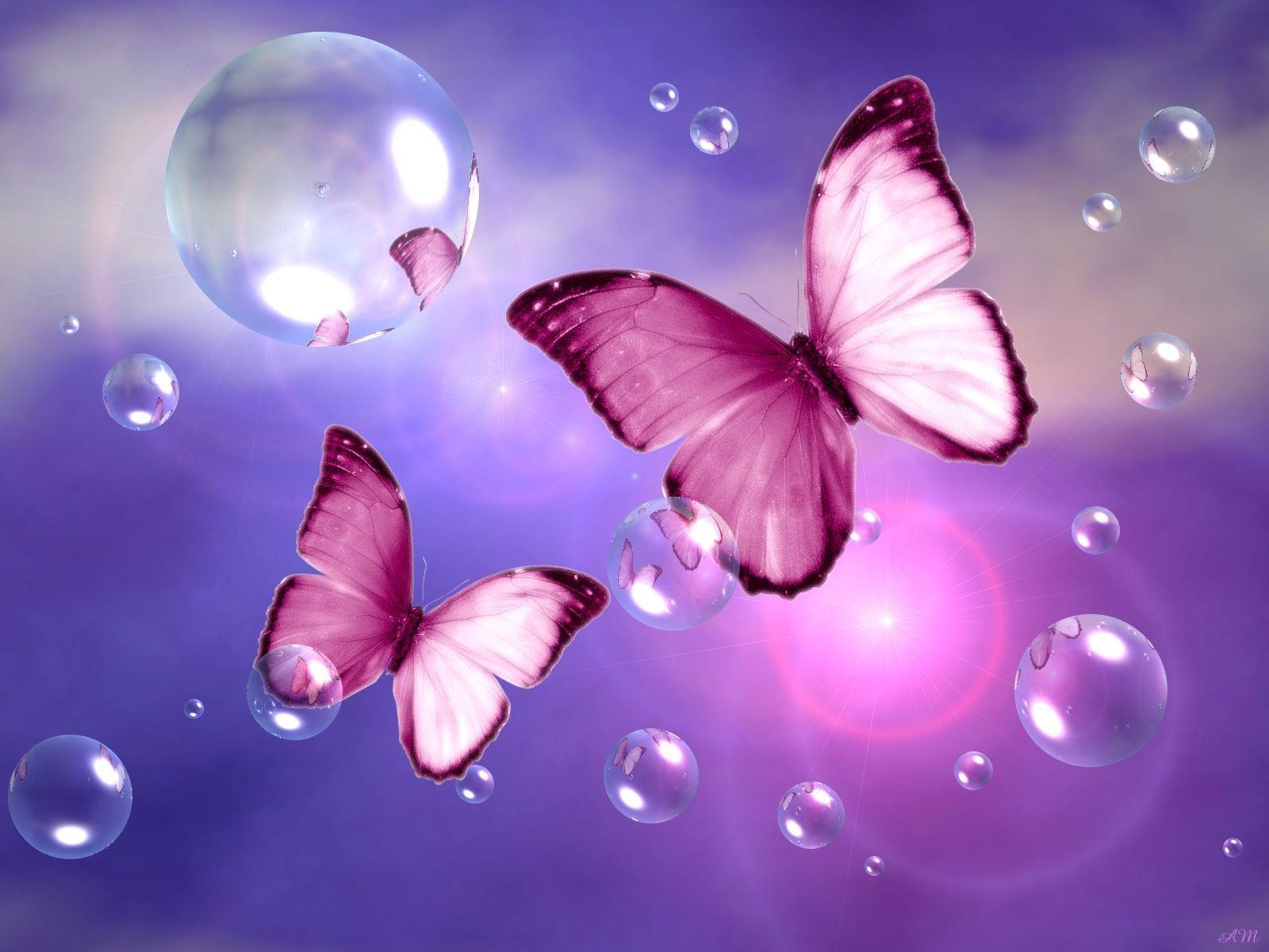 Blue and Pink Butterfly Wallpapers Top Free Blue and Pink Butterfly Backgrounds WallpaperAccess