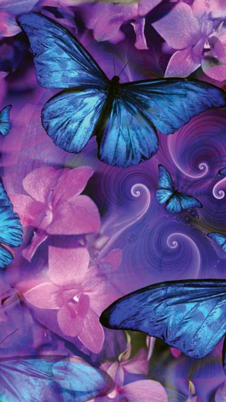 Blue and Pink Butterfly Wallpapers Top Free Blue and Pink Butterfly Backgrounds WallpaperAccess