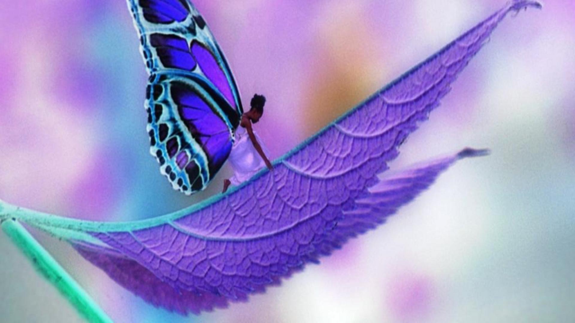 Blue and Pink Butterfly Wallpapers Top Free Blue and Pink Butterfly Backgrounds WallpaperAccess