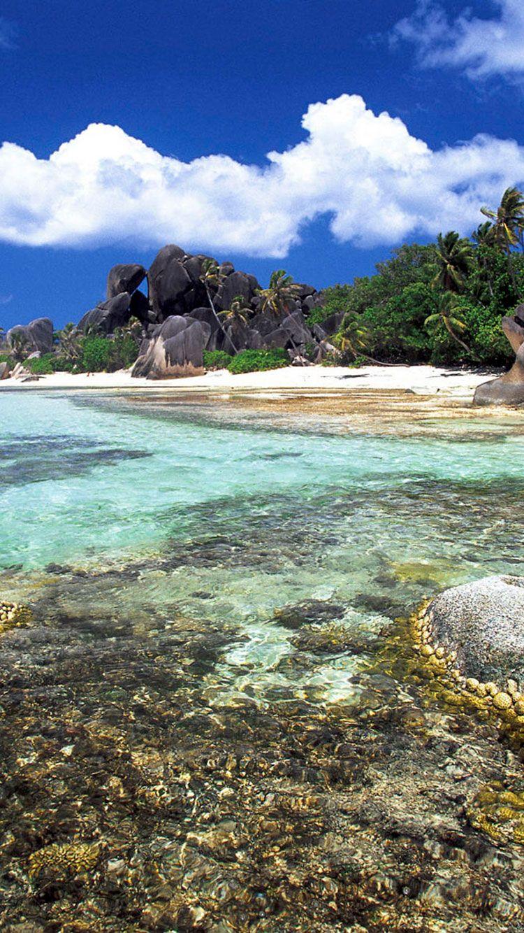 Tropical iPhone Wallpapers Top Free Tropical iPhone Backgrounds WallpaperAccess