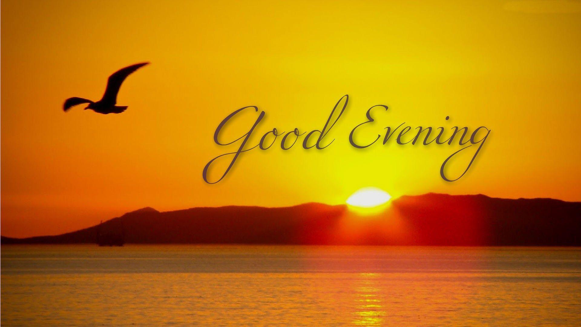 Good Evening Wallpapers Top Free Good Evening Backgrounds
