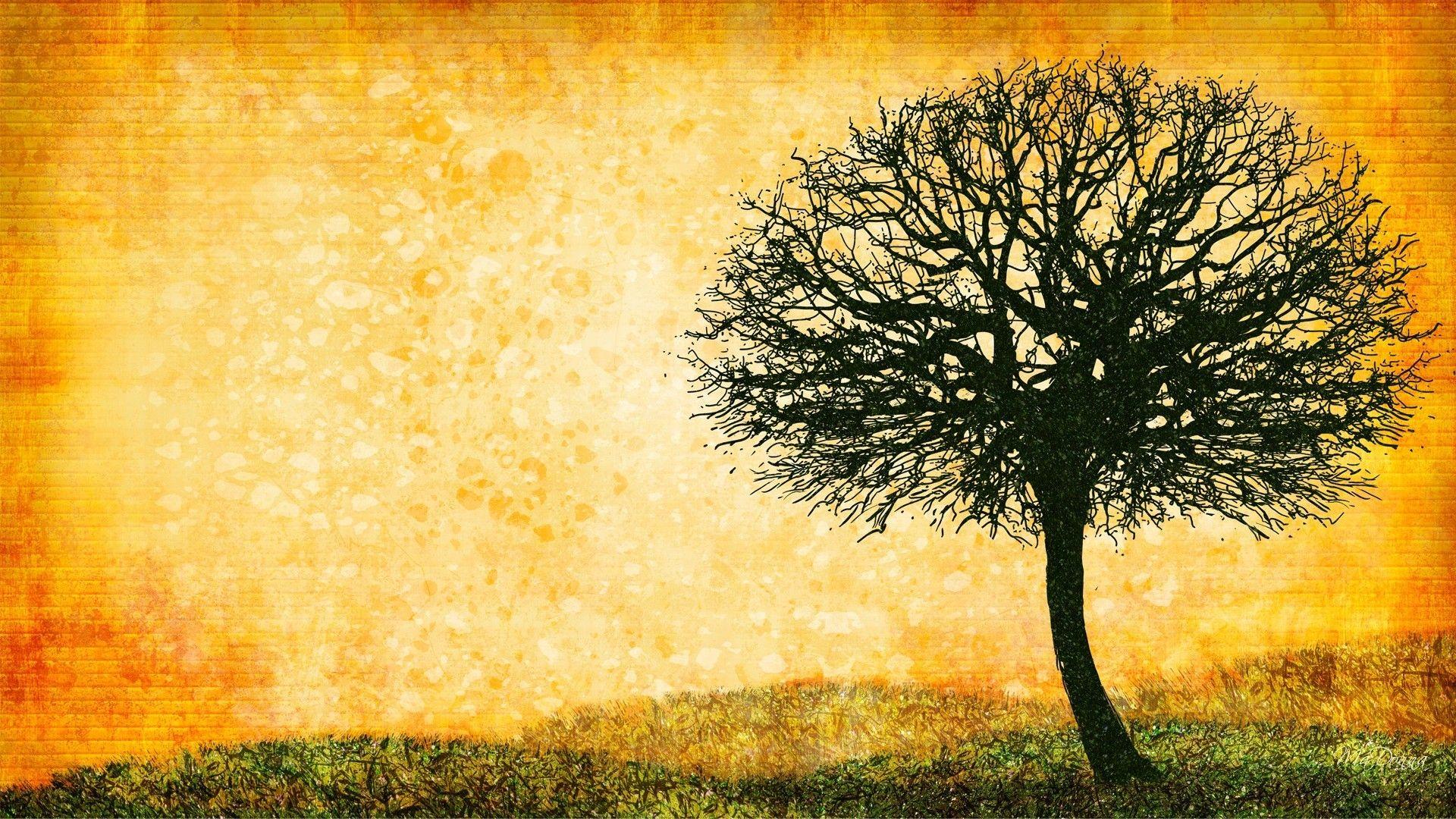 Family Tree Wallpapers Top Free Family Tree Backgrounds WallpaperAccess