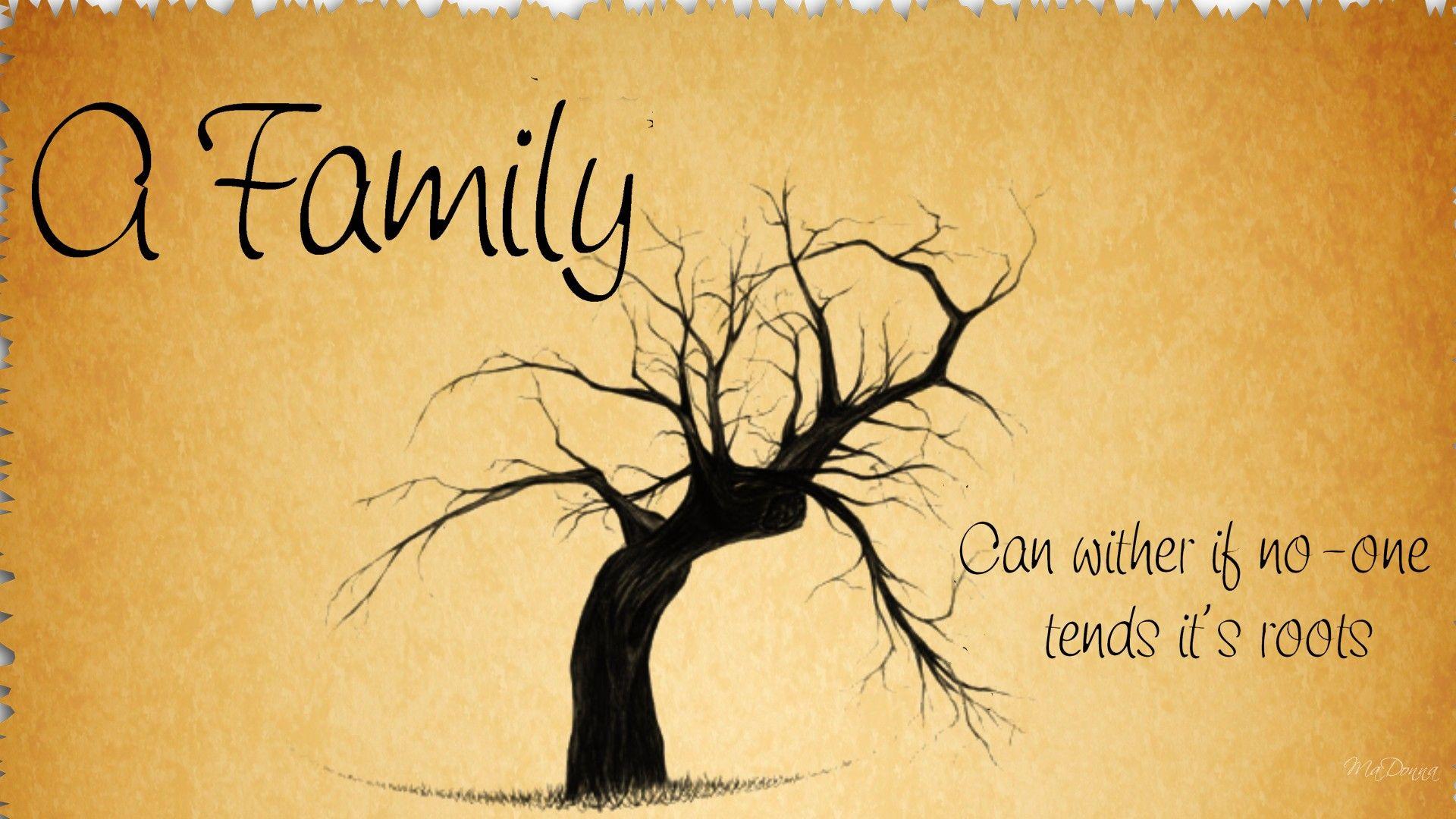 Family Tree Wallpapers Top Free Family Tree Backgrounds WallpaperAccess