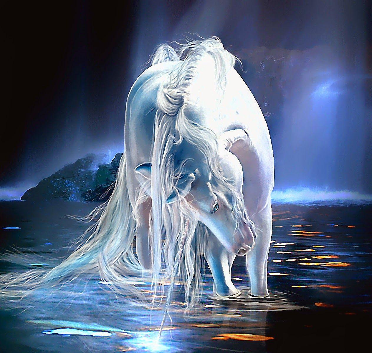 41 Best Free Beautiful Dragon Wallpapers WallpaperAccess