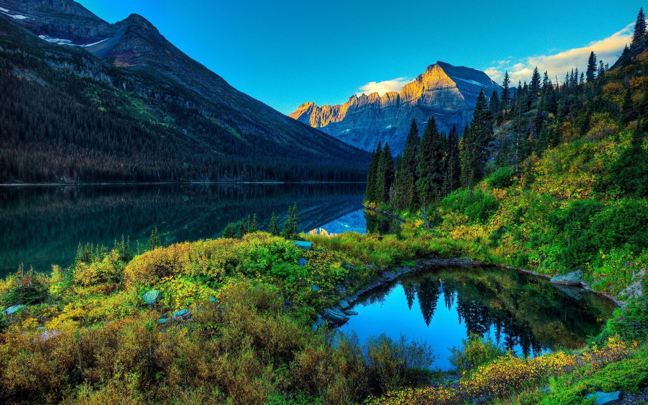 Wilderness Wallpapers Top Free Wilderness Backgrounds Wallpaperaccess