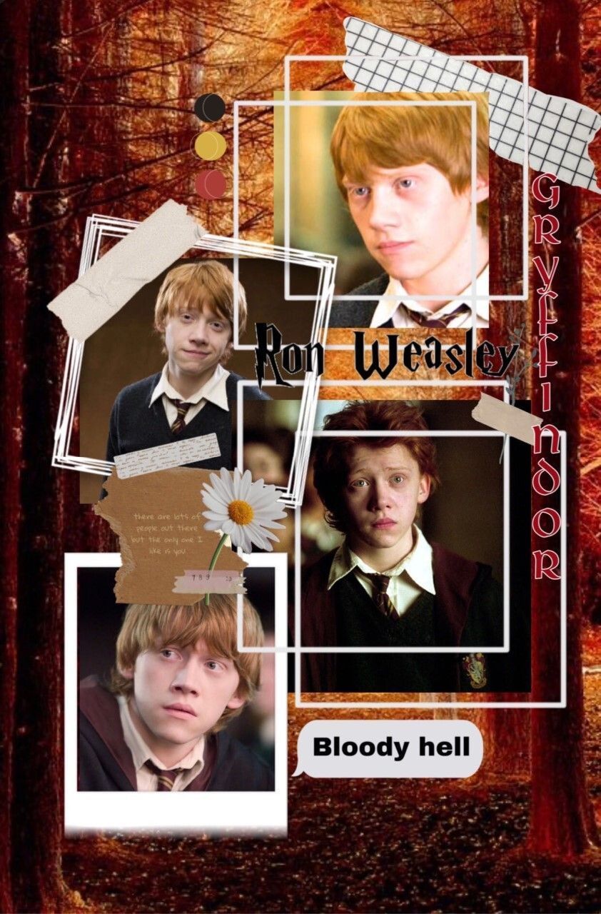 Ronald Weasley Wallpapers Top Free Ronald Weasley Backgrounds