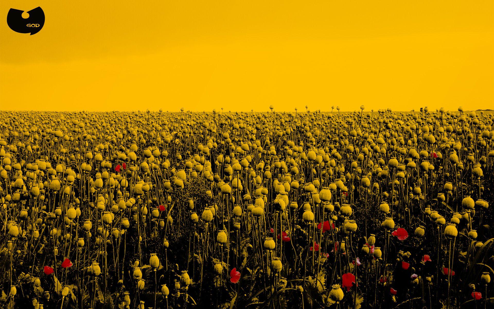 WuTang Wallpapers Top Free WuTang Backgrounds