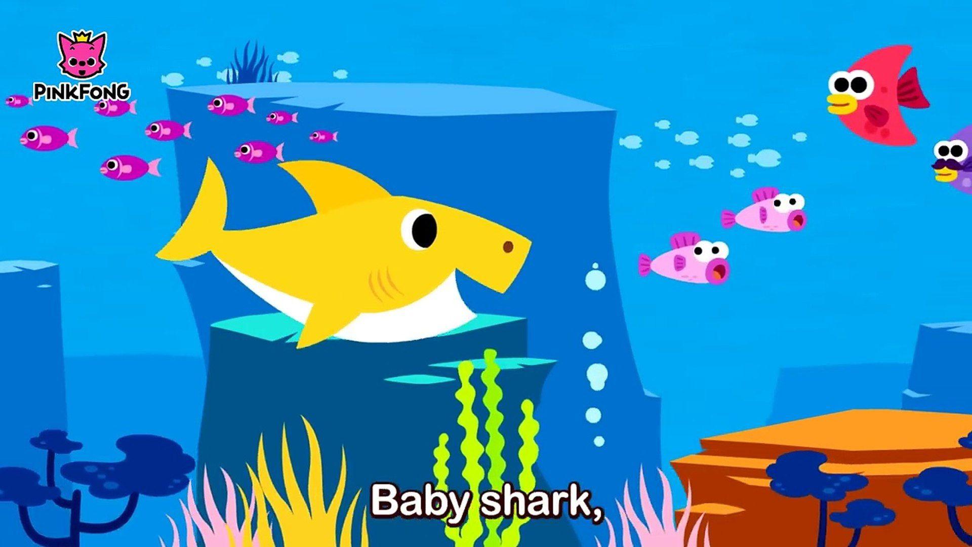 Baby Shark Wallpapers Top Free Baby Shark Backgrounds WallpaperAccess