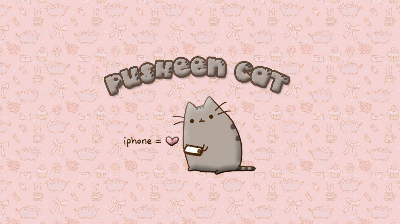 Pastel Cat Wallpapers Top Free Pastel Cat Backgrounds WallpaperAccess