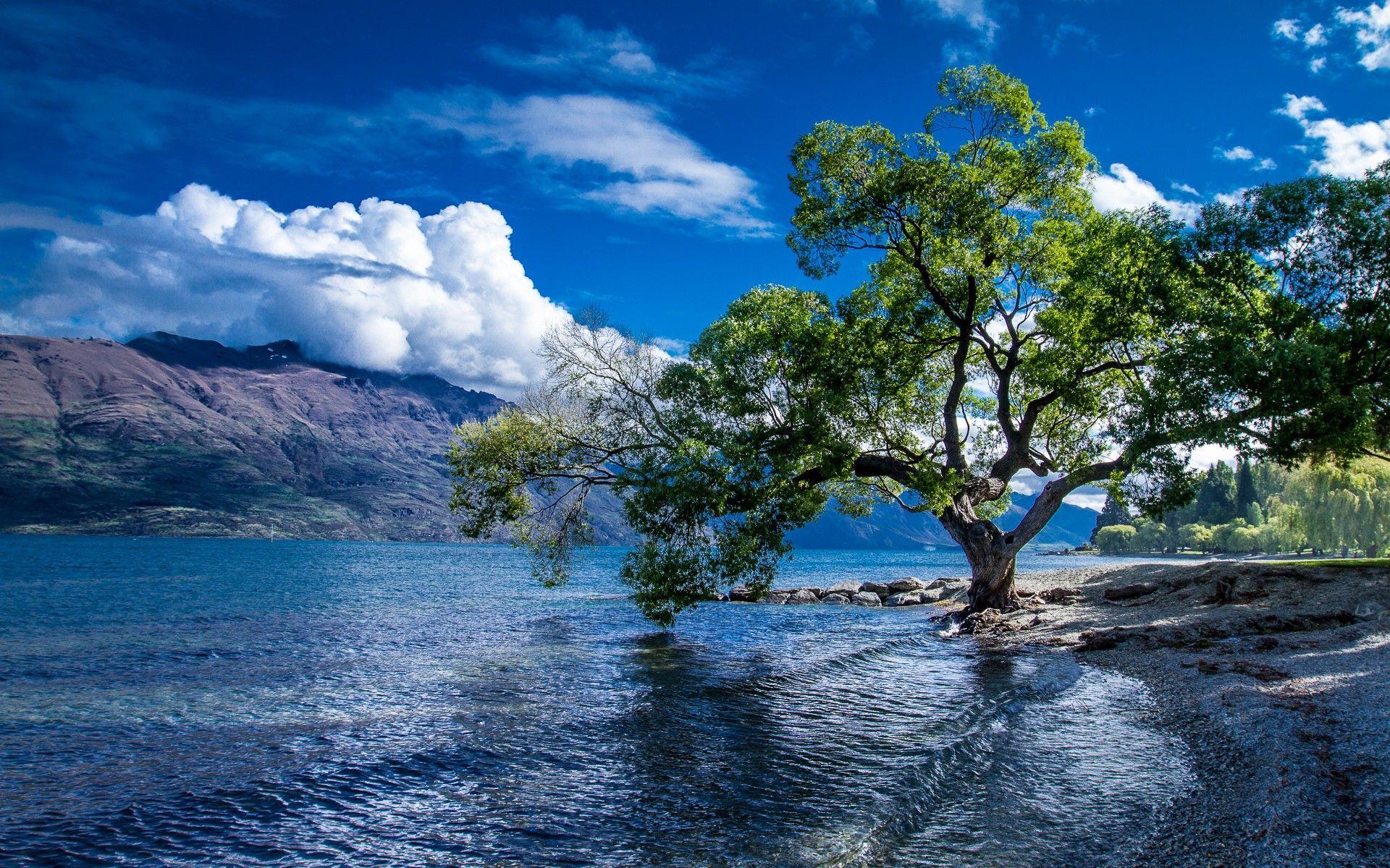 Queenstown Wallpapers Top Free Queenstown Backgrounds WallpaperAccess
