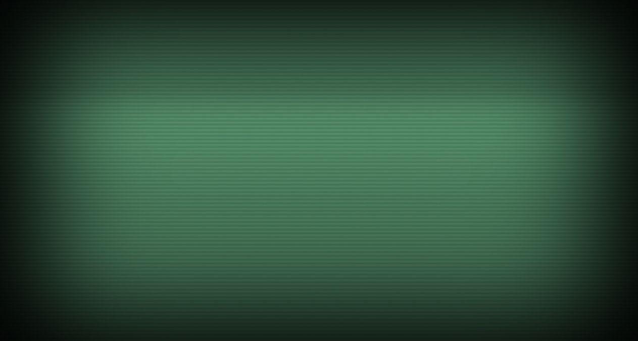 Fallout Terminal Background