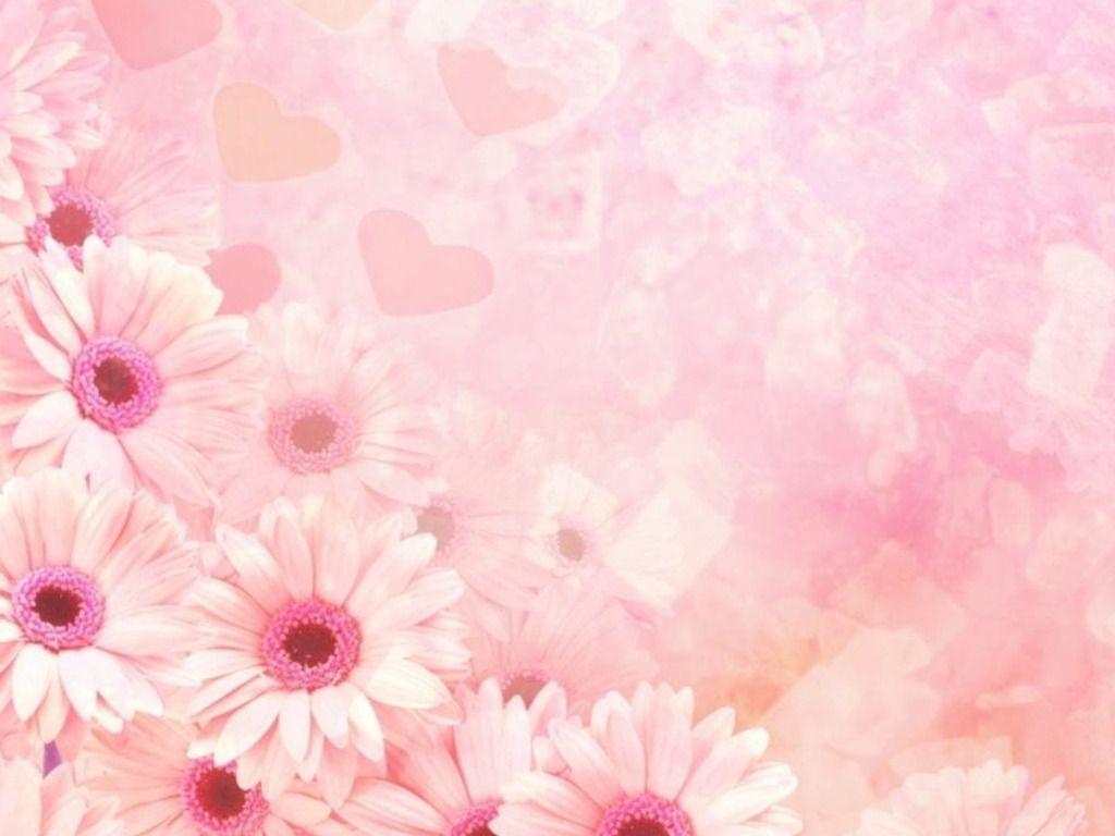 Pink Wallpapers Top Free Pink Backgrounds WallpaperAccess